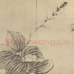 清代 蒋廷锡国画作品《玉簪》摘自 南画大成 卷四