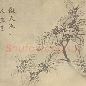 清代 蒋廷锡国画作品《桂花》摘自 南画大成 卷四