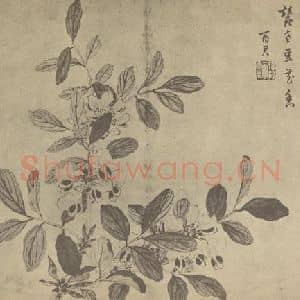 清代 蒋廷锡国画作品《豆花》摘自 南画大成 卷四
