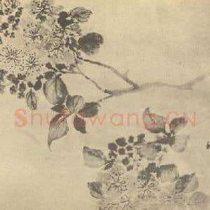 清代 蒋廷锡国画作品《紫薇》摘自 南画大成 卷四