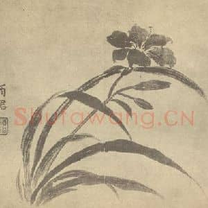 清代 蒋廷锡国画作品《萱草》摘自 南画大成 卷四