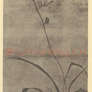 清代 蒋廷锡国画作品《萱花图》摘自 南画大成 卷四