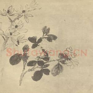 清代 蒋廷锡国画作品《蕙茉莉》摘自 南画大成 卷四