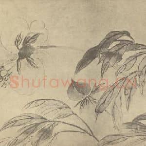清代 蒋廷锡国画作品《芍药》摘自 南画大成 卷四