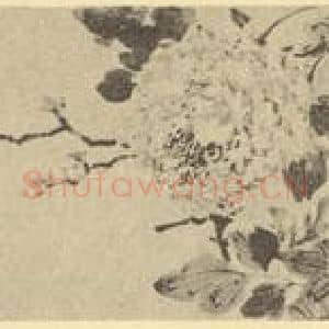 清代 王武国画作品《牡丹图》摘自 南画大成 卷五