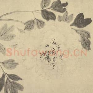 清代 王武国画作品《牡丹》摘自 南画大成 卷五