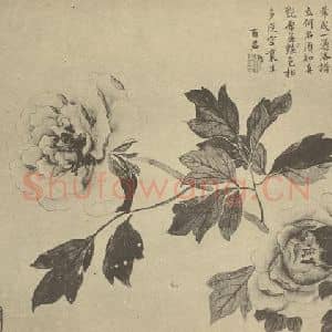清代 蒋廷锡国画作品《牡丹》摘自 南画大成 卷五