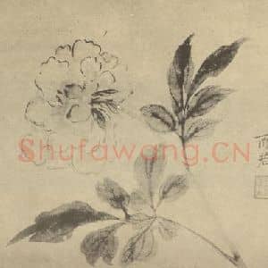 清代 蒋廷锡国画作品《牡丹》摘自 南画大成 卷五