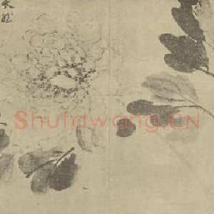 清代 边寿民国画作品《牡丹》摘自 南画大成 卷五