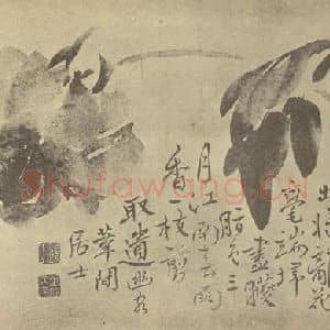 清代 边寿民国画作品《牡丹》摘自 南画大成 卷五