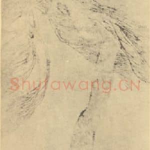 明代 赵珣国画作品《松石图》摘自 南画大成 卷五