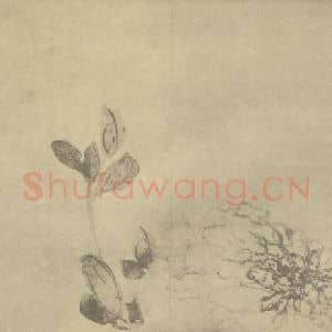 清代 陈撰国画作品《牡丹》摘自 南画大成 卷五