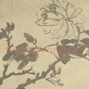 清代 张赐宁国画作品《牡丹》摘自 南画大成 卷五