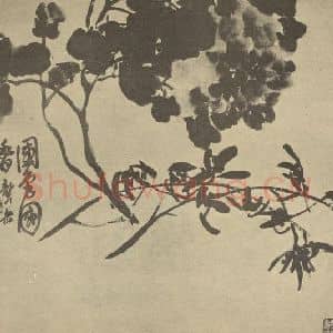 清代 吴昌硕国画作品《国色国香》摘自 南画大成 卷五