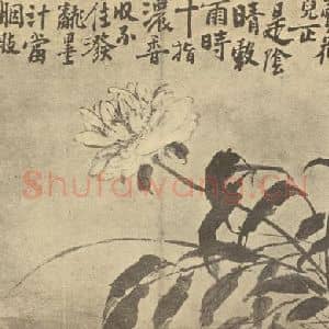 清代 李鳝国画作品《芍药》摘自 南画大成 卷五