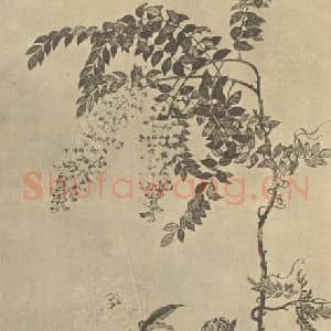 清代 邹一桂国画作品《芍药藤花》摘自 南画大成 卷五