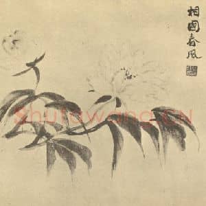 清代 陈豪国画作品《芍药》摘自 南画大成 卷五