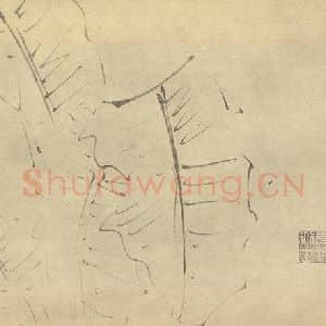 明代 徐渭国画作品《芭蕉》摘自 南画大成 卷五