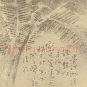 清代 边寿民国画作品《芭蕉》摘自 南画大成 卷五