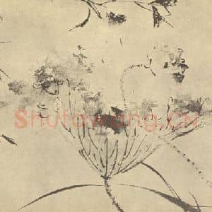 明代 陈淳国画作品《莲叶图》摘自 南画大成 卷五