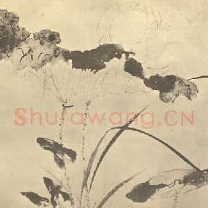 明代 陈淳国画作品《荷花》摘自 南画大成 卷五