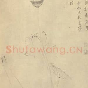 明代 文嘉国画作品《莲藕净因图》摘自 南画大成 卷五
