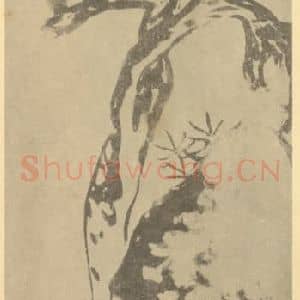 清代 朱耷国画作品《松石图》摘自 南画大成 卷五