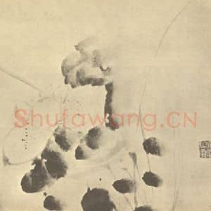 明代 徐渭国画作品《荷花》摘自 南画大成 卷五