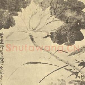 清代 道济国画作品《荷花图》摘自 南画大成 卷五