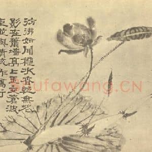 清代 道济国画作品《荷花图》摘自 南画大成 卷五