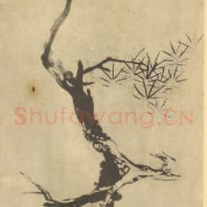 清代 朱耷国画作品《画松》摘自 南画大成 卷五