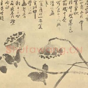 清代 道济国画作品《莲芰图》摘自 南画大成 卷五