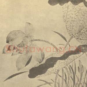 清代 王武国画作品《荷花图》摘自 南画大成 卷五
