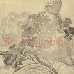 清代 恽寿平国画作品《荷花图》摘自 南画大成 卷五