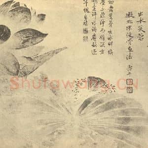 清代 恽寿平国画作品《荷花图》摘自 南画大成 卷五