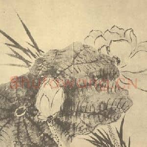 清代 蒋廷锡国画作品《荷花图》摘自 南画大成 卷五