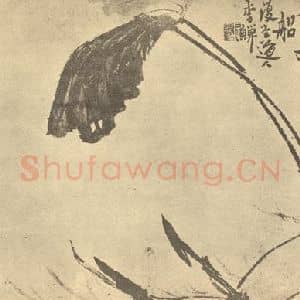 清代 李鳝国画作品《荷花图》摘自 南画大成 卷五