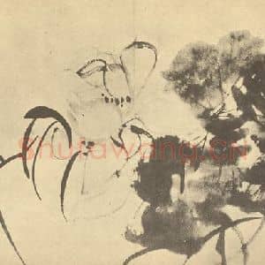 清代 李鳝国画作品《荷花图》摘自 南画大成 卷五