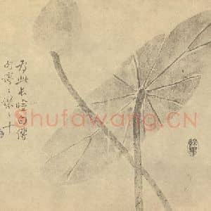 清代 边寿民国画作品《菡萏图》摘自 南画大成 卷五