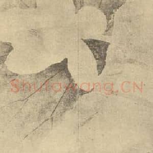 清代 边寿民国画作品《荷花图》摘自 南画大成 卷五