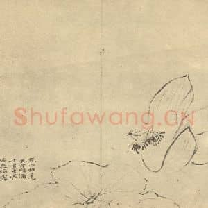 清代 陈撰国画作品《荷花》摘自 南画大成 卷五
