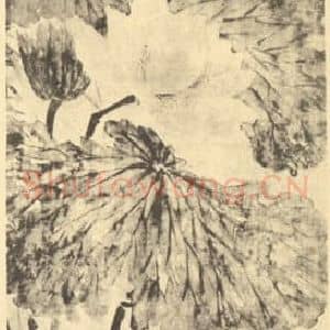 清代 奚冈国画作品《荷花图》摘自 南画大成 卷五
