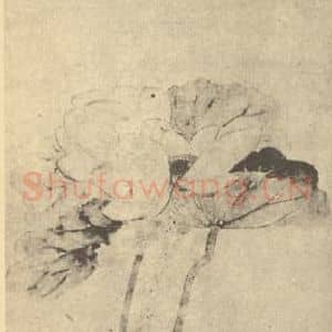 清代 孙均国画作品《荷花图》摘自 南画大成 卷五