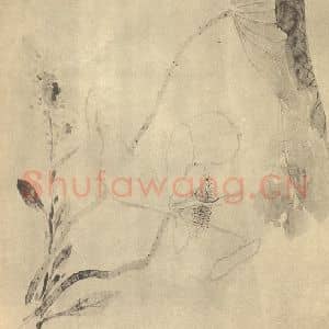 清代 尤英国画作品《荷花图》摘自 南画大成 卷五