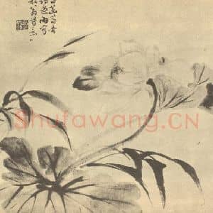 清代 陈豪国画作品《荷花图》摘自 南画大成 卷五