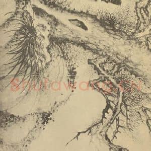 清代 恽寿平国画作品《松树图》摘自 南画大成 卷五