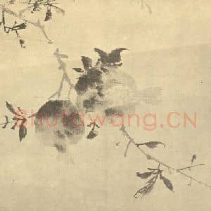 明代 陈淳国画作品《石榴》摘自 南画大成 卷五