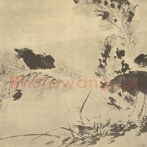 明代 陈淳国画作品《蔬菜图》摘自 南画大成 卷五