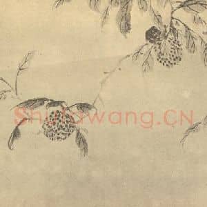 明代 陈淳国画作品《荔枝》摘自 南画大成 卷五