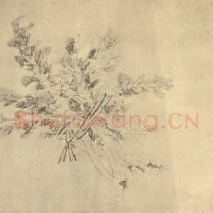 明代 文彭国画作品《蔬菜》摘自 南画大成 卷五